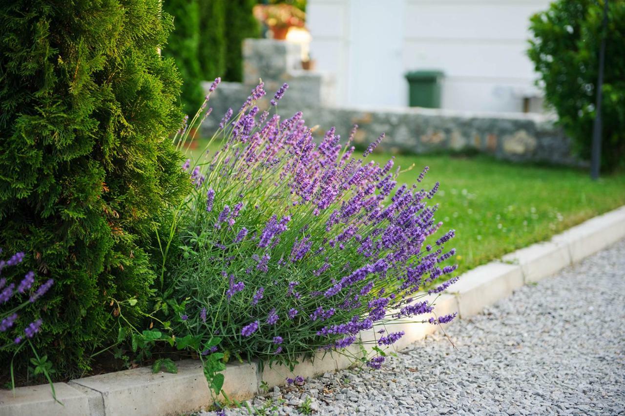 Lake House Sand Ohrid Luaran gambar